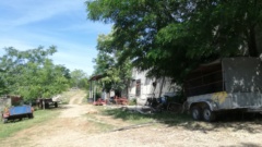 Farma