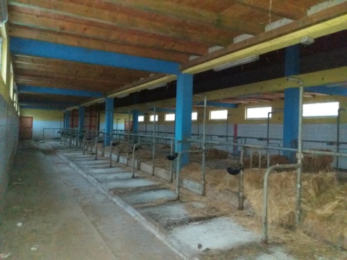 Farma krava