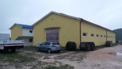 Farma krava